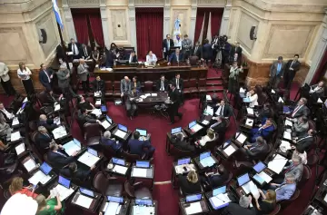 El Senado debate Ficha limpia con la política en su propio laberinto