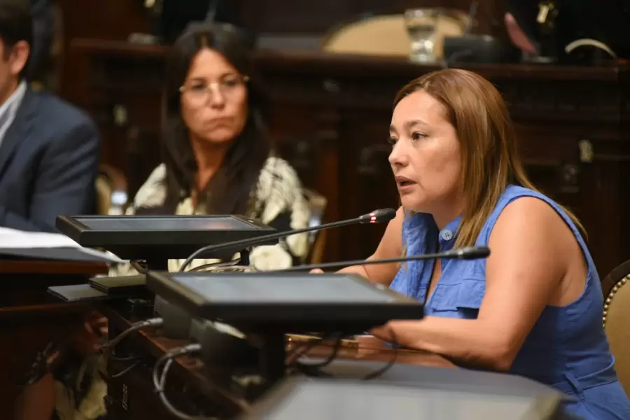 Titular del Bloque de Senadores del PJ, Adriana Cano.