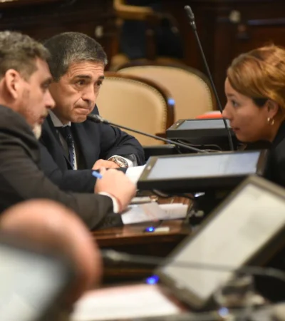 Sesión en la Legislatura. Titular del Bloque de Senadores del PJ, Adriana Cano.