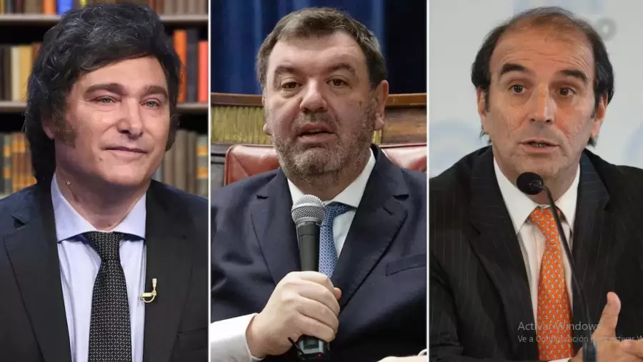 "Uno de los jueces renunciaría en el caso de que no hubiera acuerdo. Si eso pasa, quedaría saneada la situación y habría que comenzar de nuevo"