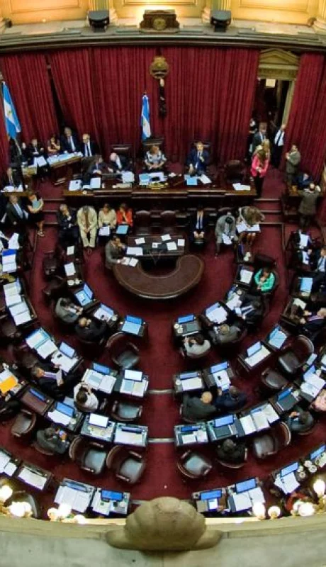 "Desde la UCR le aconsejamos al Gobierno retirar estos pliegos. Y si después de un año no se trató el tema, es porque no hay acuerdos" (F. Fama)