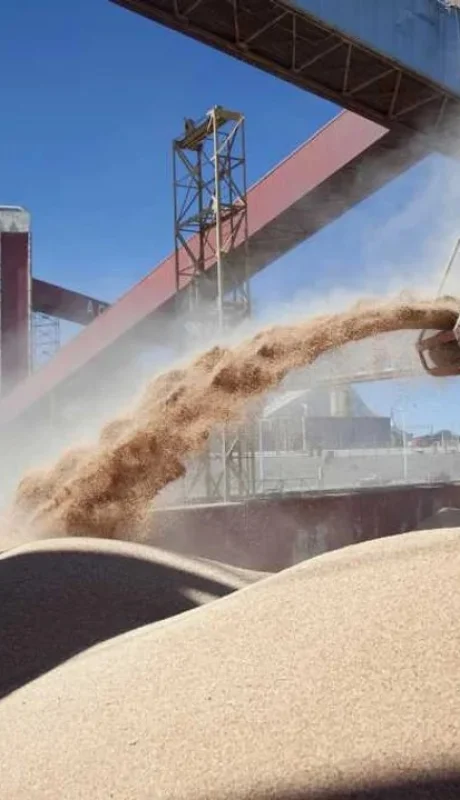 El agro espera una campaña excepcional