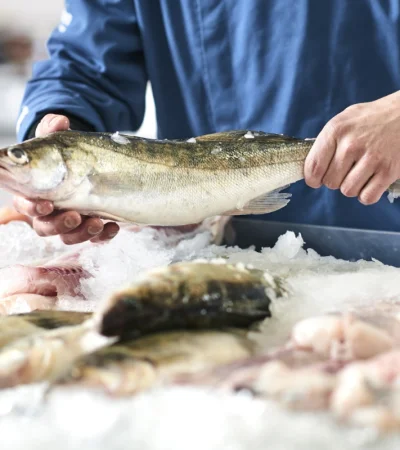 La oficina elaboró un apartado específico para los productores de pesca.