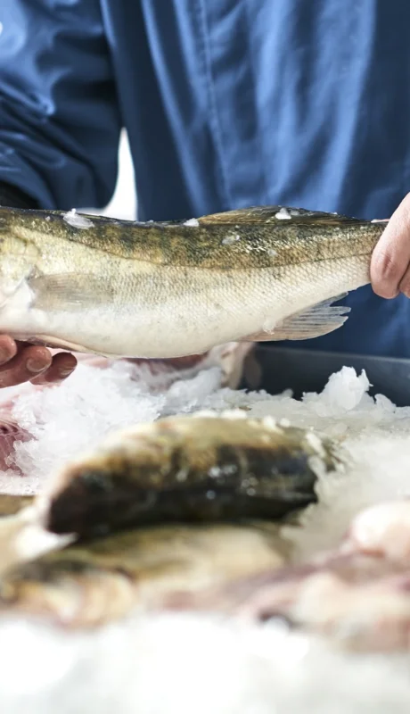 La oficina elaboró un apartado específico para los productores de pesca.