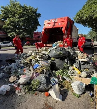 Recolectores de residuos