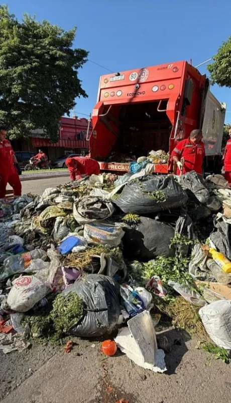 Recolectores de residuos