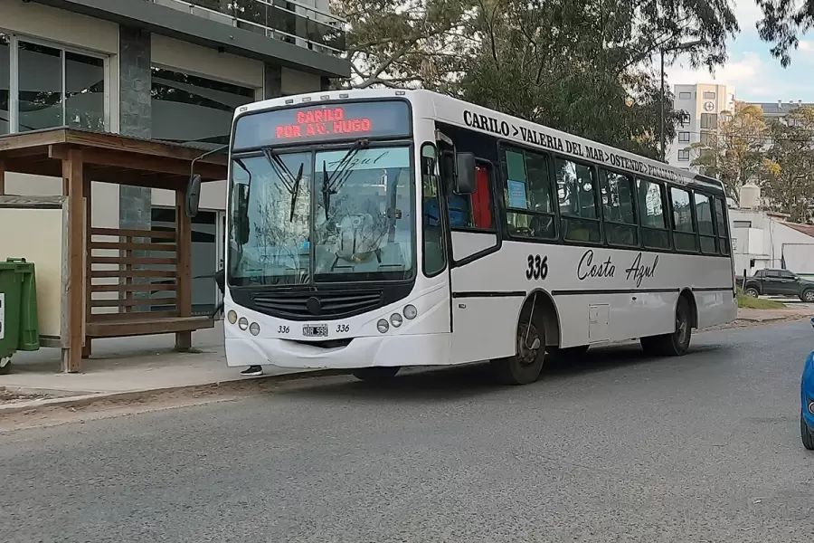 Colectivo en Pinamar
