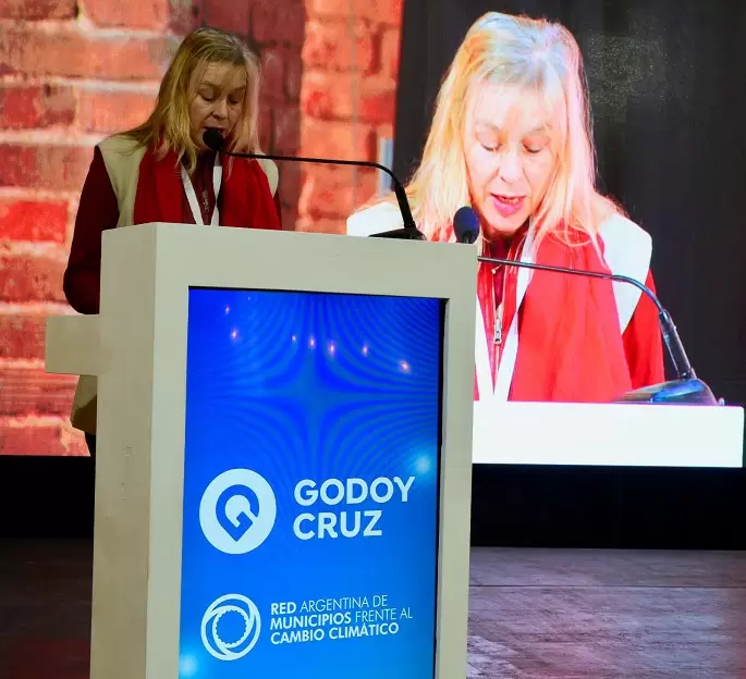 Una de las plenarias en curso.