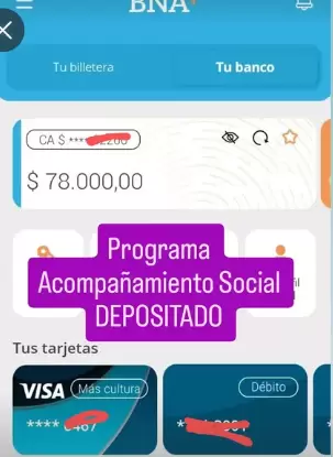 Así figura el plan depositado en la cuenta BNA+