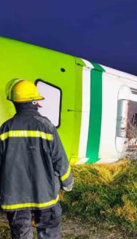 Cinco personas murieron y al menos 20 resultaron heridas al volcar un micro