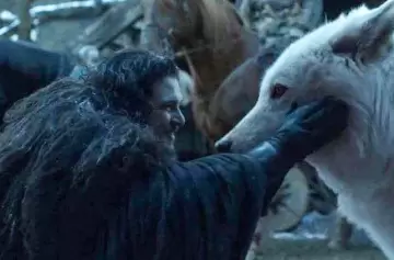 Criatura extinta revive tras 13.000 años: renace el lobo huargo de Game of Thrones
