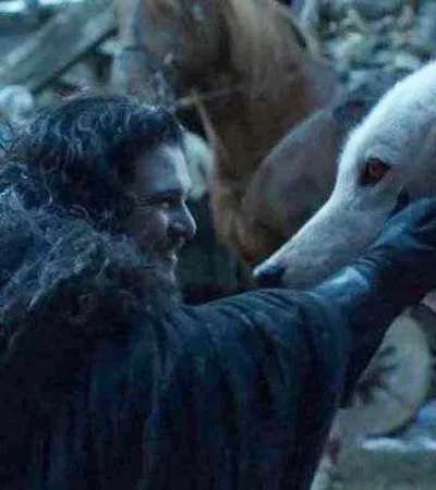 Criatura extinta revive tras 13.000 años: renace el lobo huargo de Game of Thrones