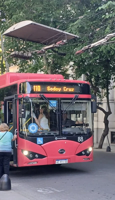 Habrá circulación normal