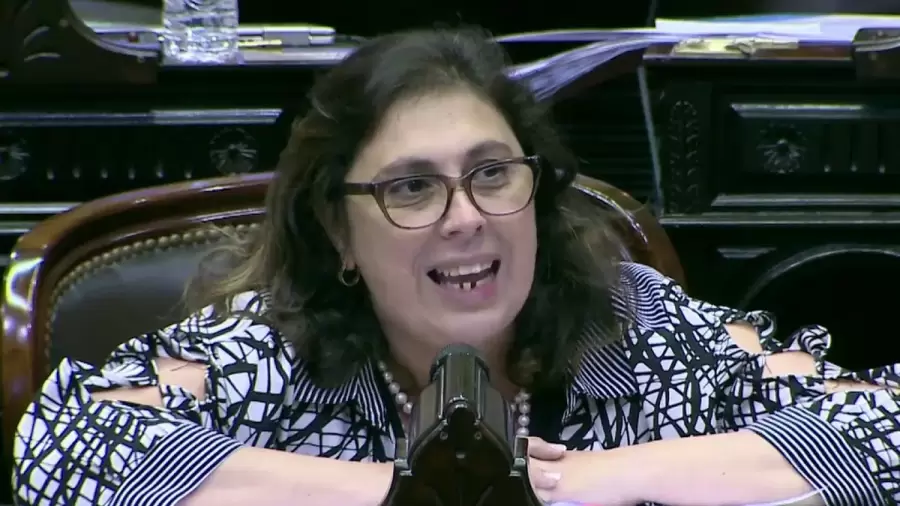 Diputada Paula Oliveto