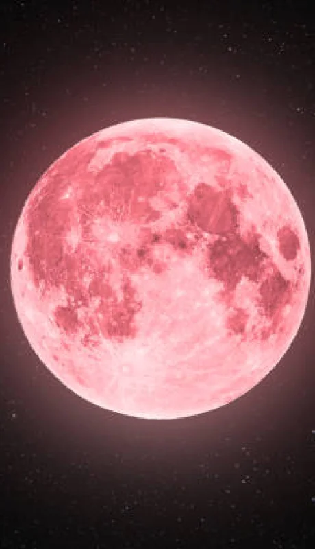 La Luna rosa podrá verse en la Aregentina.