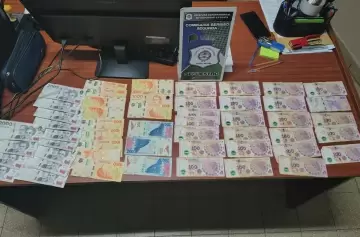 Dos hermanos robaron en una escuela y su mamá tomó una decisión extrema