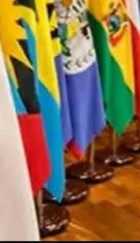 El Gobierno de Milei se opuso de lleno a la declaración de 10 mandatarios latinoamericanos.