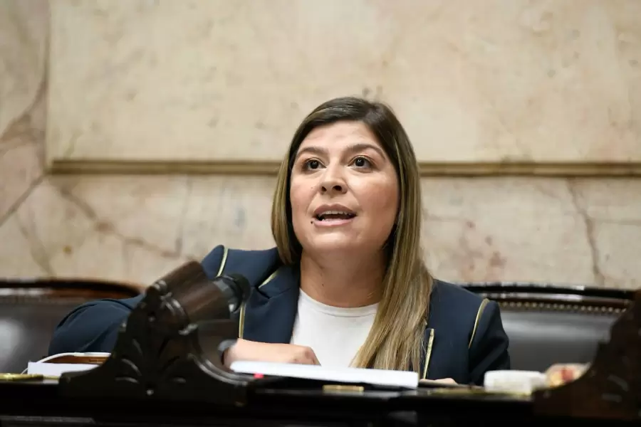 Verónica Razzini, diputada nacional por Santa Fe.