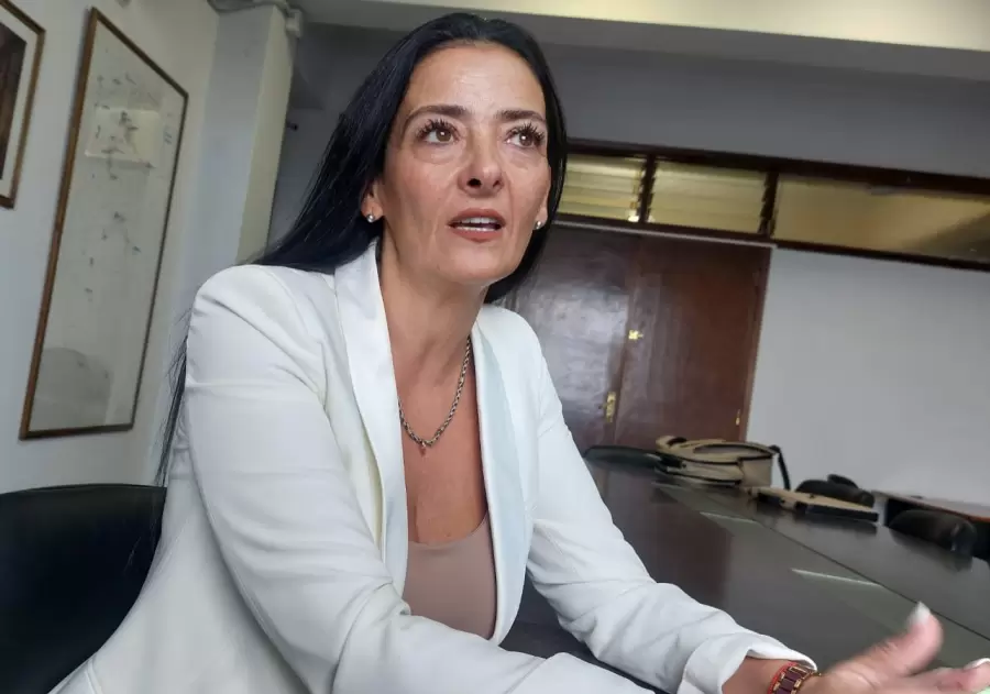 "Ese padrino va a poder entender las formas y las herramientas que diseñamos desde esta dirección a modo de capacitación" (C. Gannam)