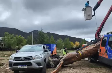 El vuelco de una grúa provocó la caída del Cristo del Manzano Histórico
