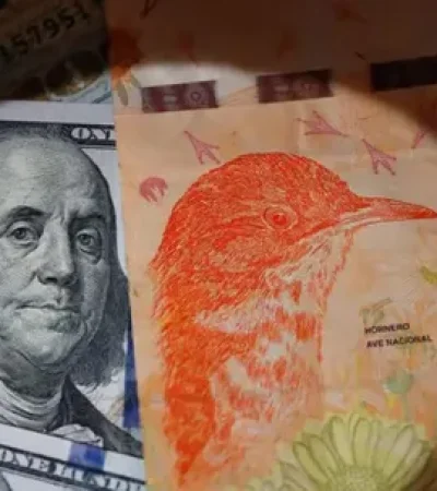 La salida del cepo viene con un reacomodamiento de los números en el costo de vida, pero hay un respaldo que desalienta las alarmas.