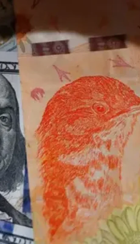 La salida del cepo viene con un reacomodamiento de los números en el costo de vida, pero hay un respaldo que desalienta las alarmas.