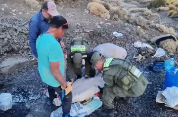 Hallan restos de un ictiosaurio, depredador que vivió hace 90 millones de años