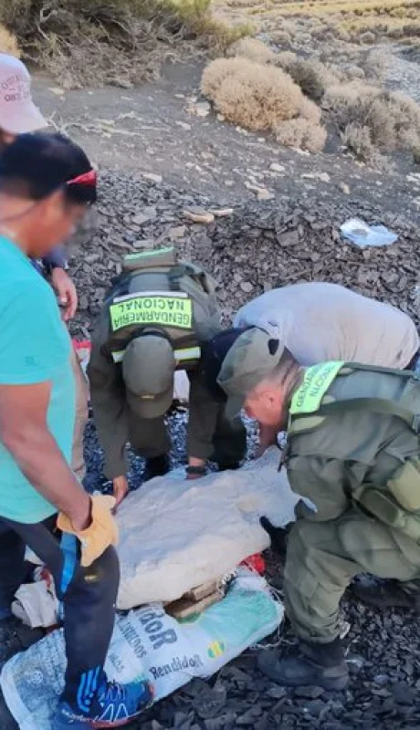 Hallan los restos fósiles de un ictiosaurio.