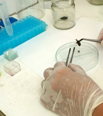 La enfermedad de Chagas a menudo se describe como una "enfermedad silenciosa y silenciada", ya que la mayoría de las personas infectadas no presentan