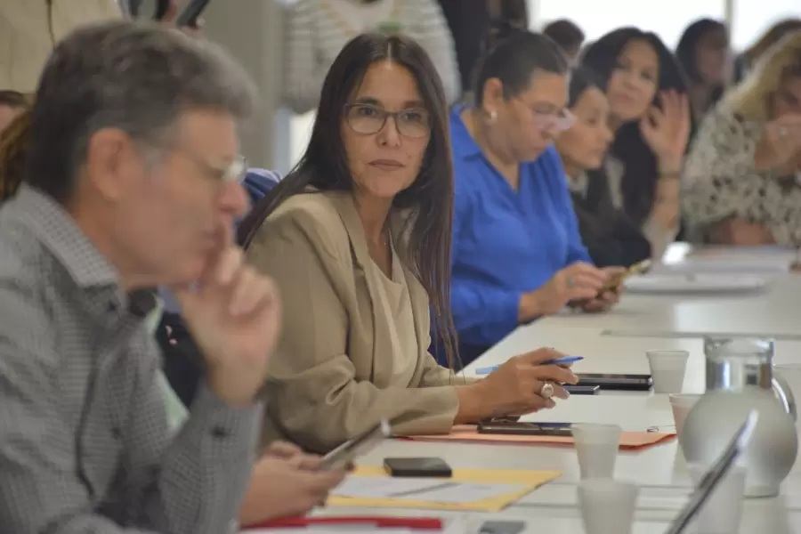 Mercedes Derrache (PJ - UxP).