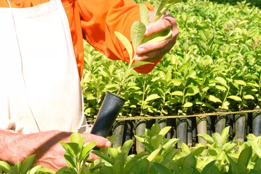 "No se trata de prohibir, es tratar de limitar para poder seguir subsistiendo" (J. Butiuk)