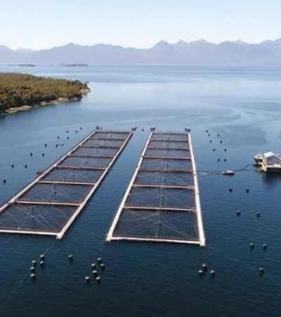 Las granjas de salmones se han convertido en un atractivo negocio ictícola por su alta escala de rentabilidad.