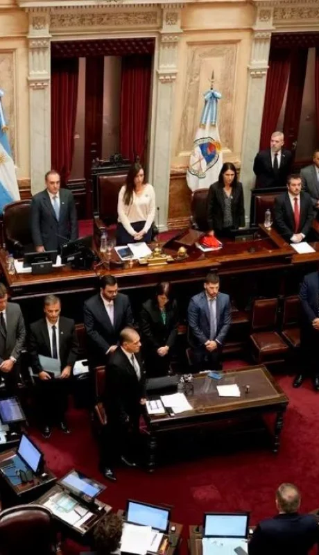 El Senado nacional muestra una formación deficiente de los cuadros políticos. Foto: web
