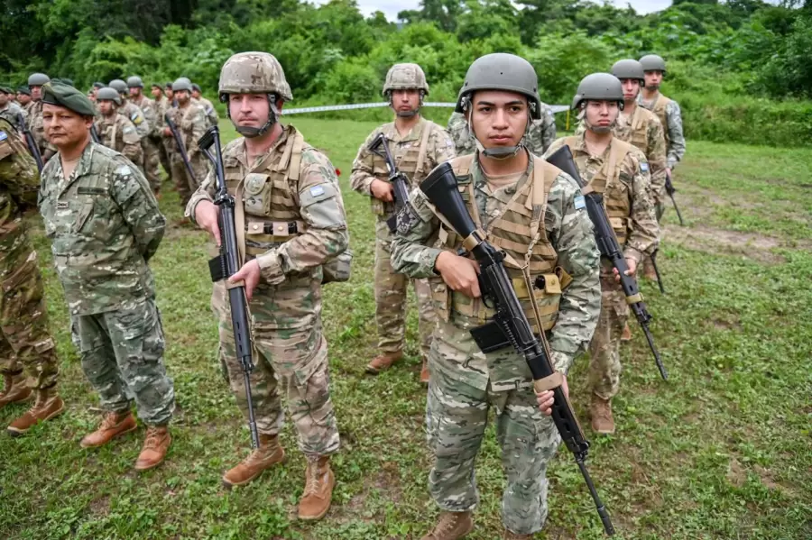 Ministerio de defensa