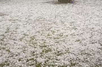 Videos del granizo en Buenos Aires: calles blancas y vecinos sorprendidos