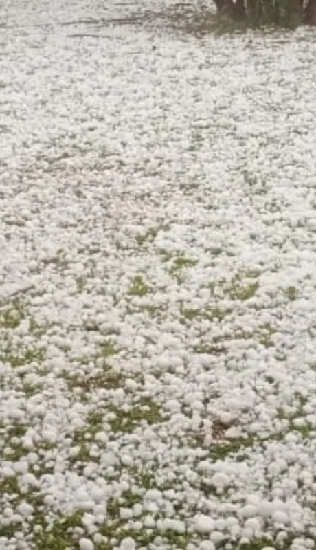 Videos del granizo en Buenos Aires: calles blancas y vecinos sorprendidos