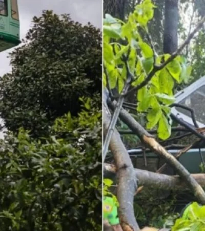 Un pintoresco y turístico recorrido se transformó en un escenario de caída libre hacia la muerte.