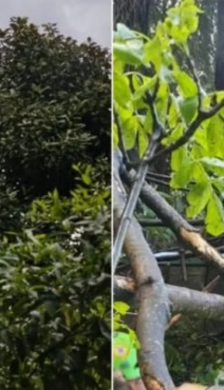 Un pintoresco y turístico recorrido se transformó en un escenario de caída libre hacia la muerte.