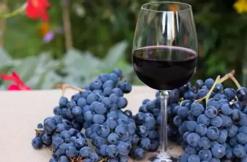 Cómo impactan en exportaciones de malbec los aranceles de Trump