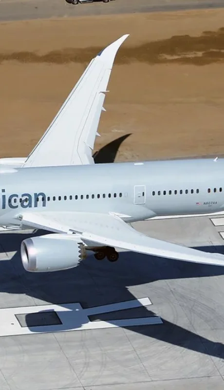 Vuelo de American