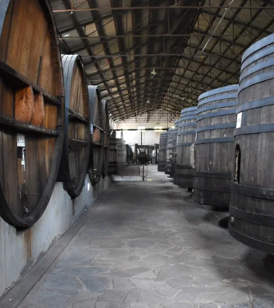 El atractivo de las bodegas.