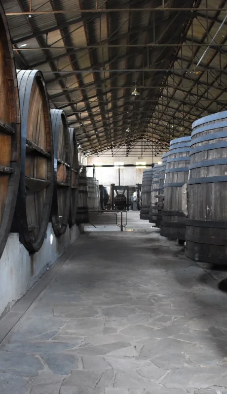 El atractivo de las bodegas.