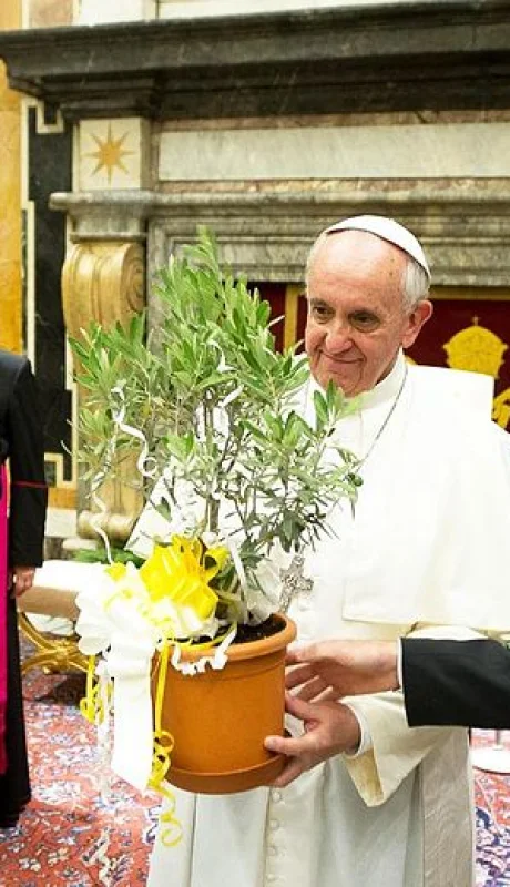 Lionel Messi despidió al Papa Francisco.
