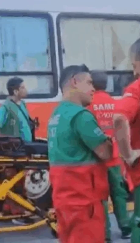 Un micro escolar impactó contra un camión y dejó 14 niños heridos