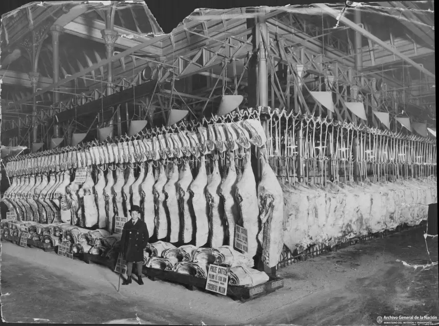carnes congeladas argentinas