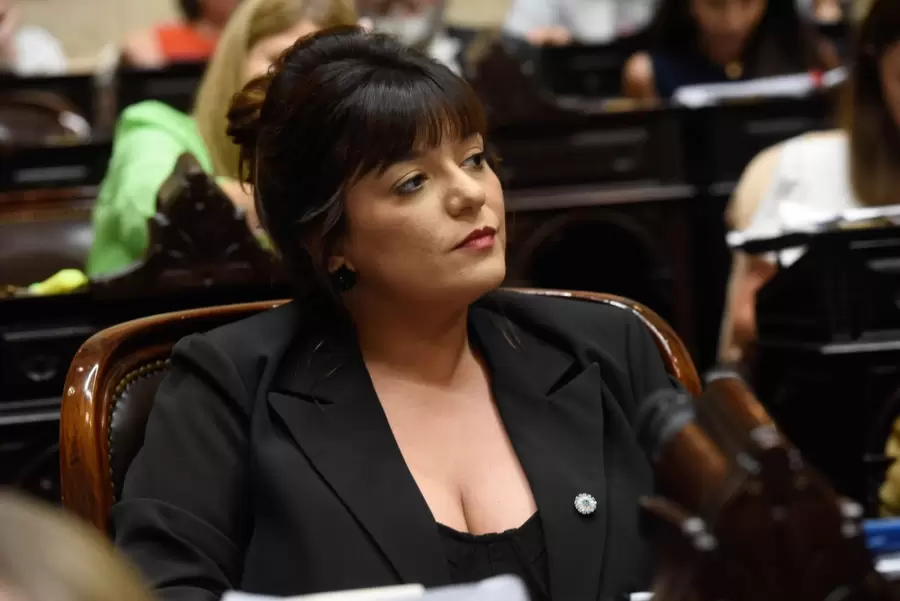 Diputada Sabrina Selva