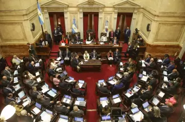 El Senado tratará dentro de dos semanas el proyecto de Ficha Limpia aprobado en Diputados