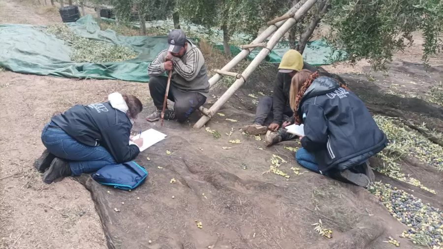 Casos concretos denunciados en Salta.