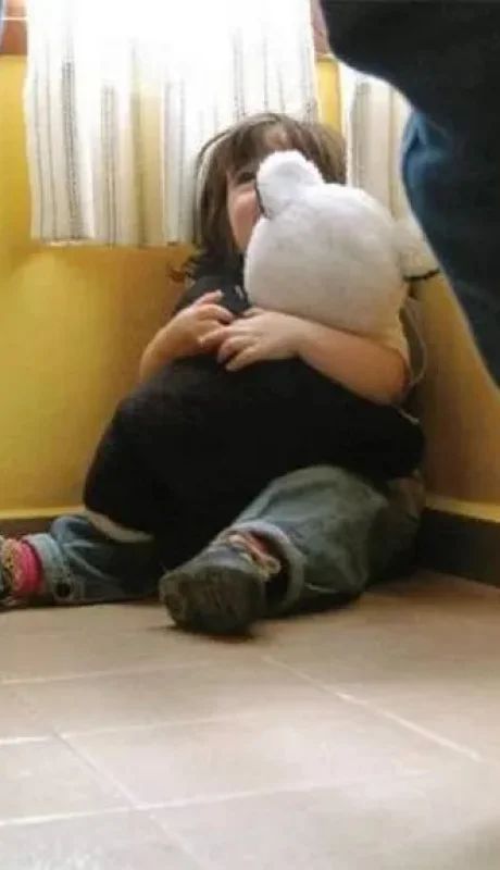 Maltrato infantil: avanzan para que la línea 102 se conozca desde las aulas