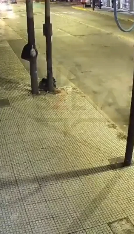 La patrulla se cruza de carril e impacta contra la víctima.